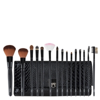 Motives® 15-Piece Pro Brush Set