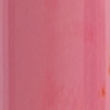 Guava