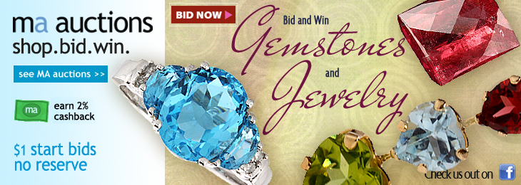 Shop. Bid. Win!