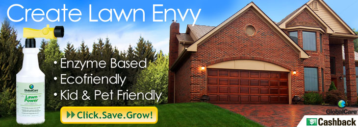 Greener Grass—The Green Way Greener Grass—The Green Way