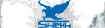 Shiekh Shoes