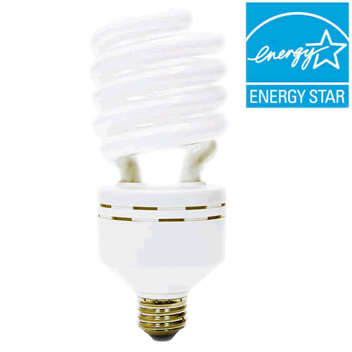 Compact Fluorescent Light Bulbs (CFLs)