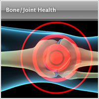 Bone and Joint