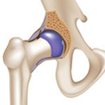 Bone and Joint Health