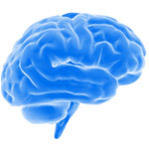 Energy and Endurance Health