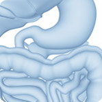 Digestive Health