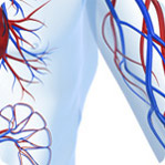Cardiovascular Health