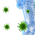 Immune Enhancement Regimen