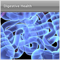 Digestive Health