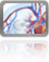Cardiovascular Health