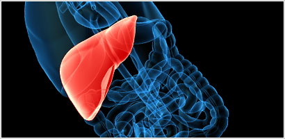 Liver Health