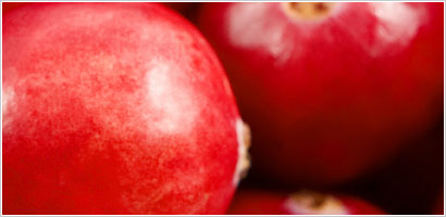 Optimal Health
