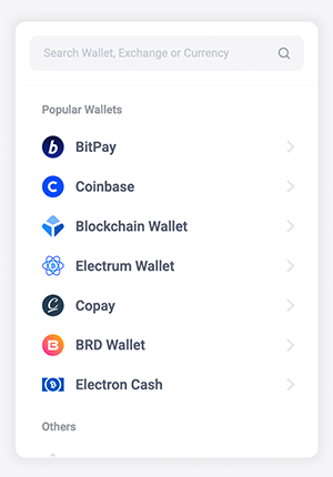 Popular Wallet examples: BitPay, Coinbase, Blockchain Wallet, Electrum Wallet, Copay, BRD Wallet, Electron Cash, others