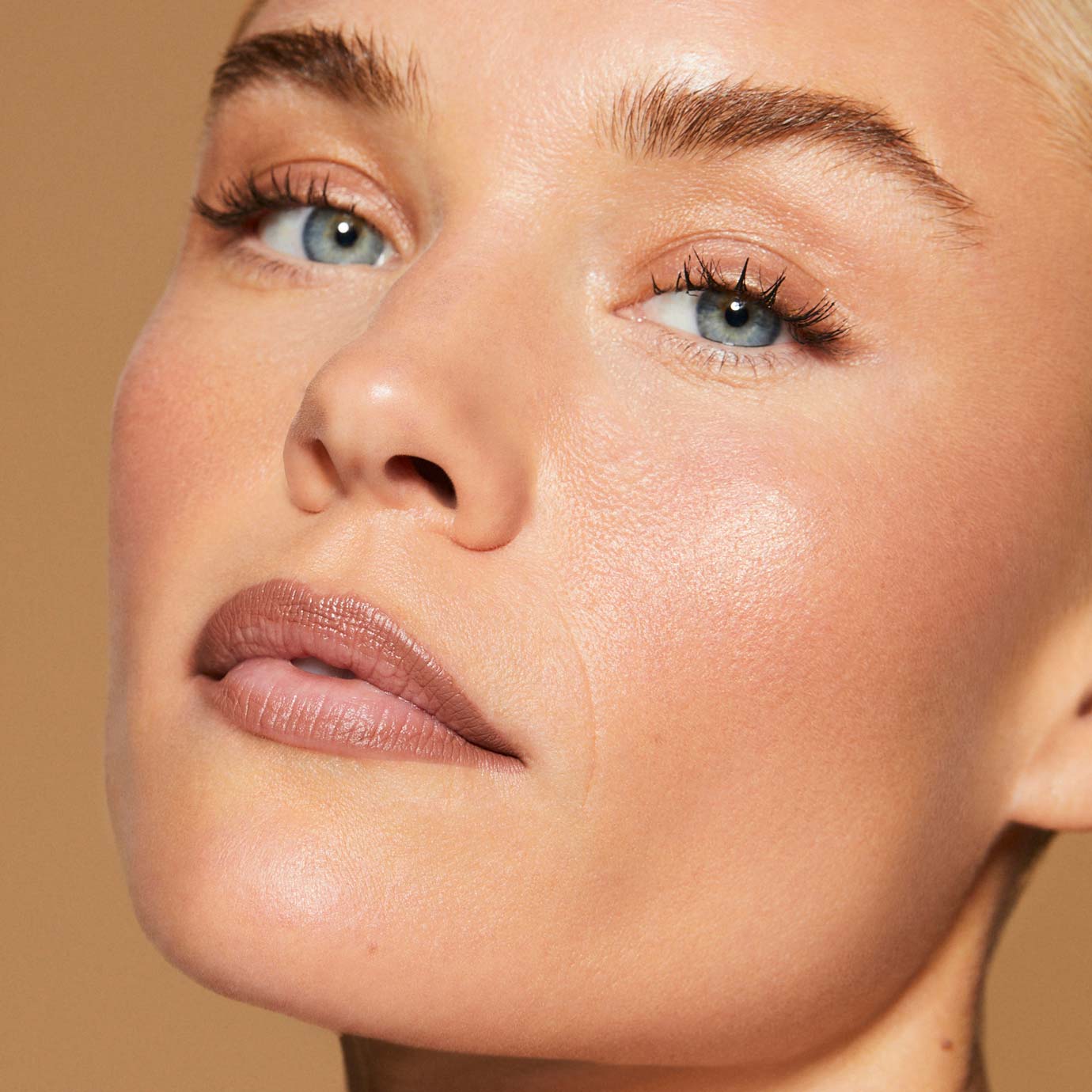 lip liner model