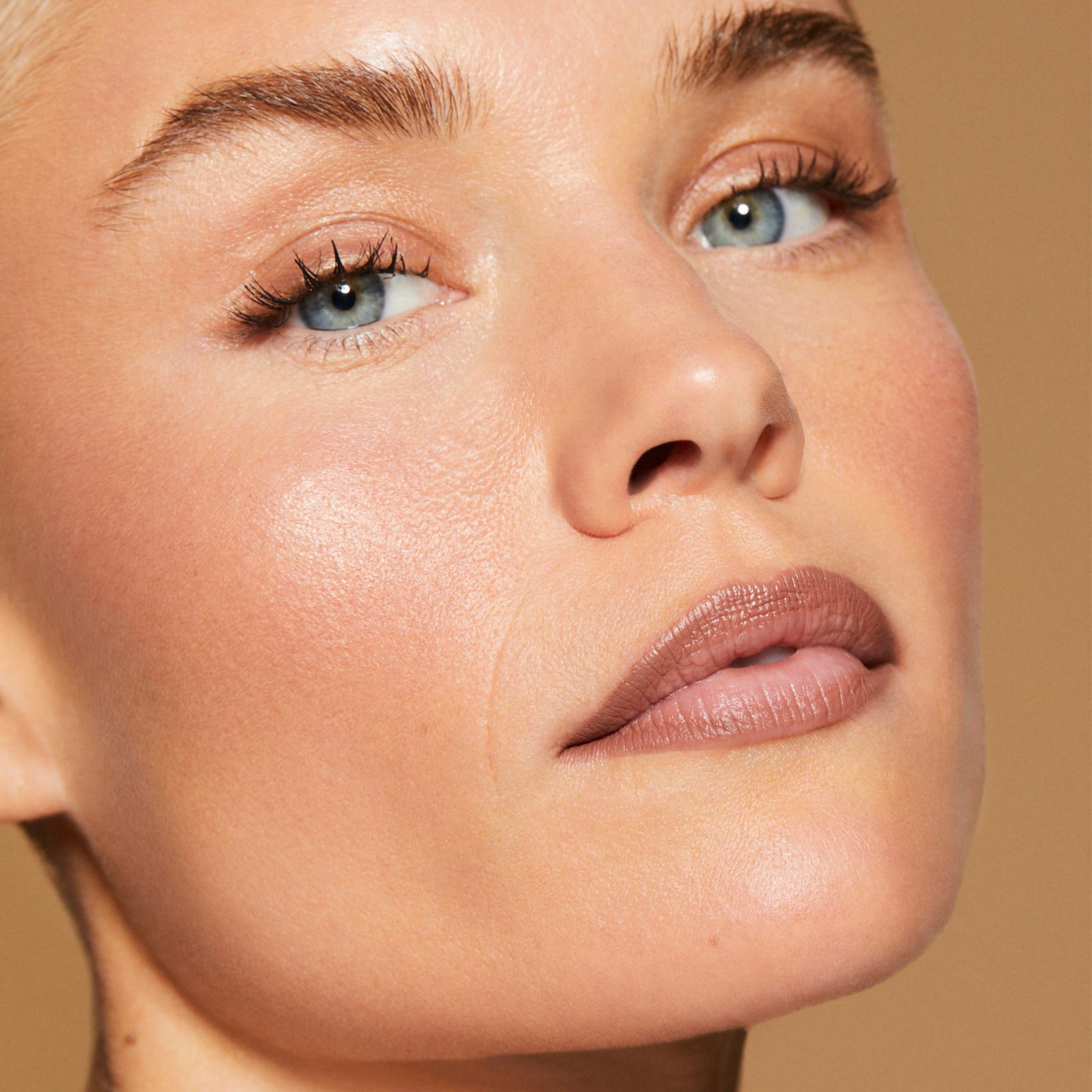lip liner model