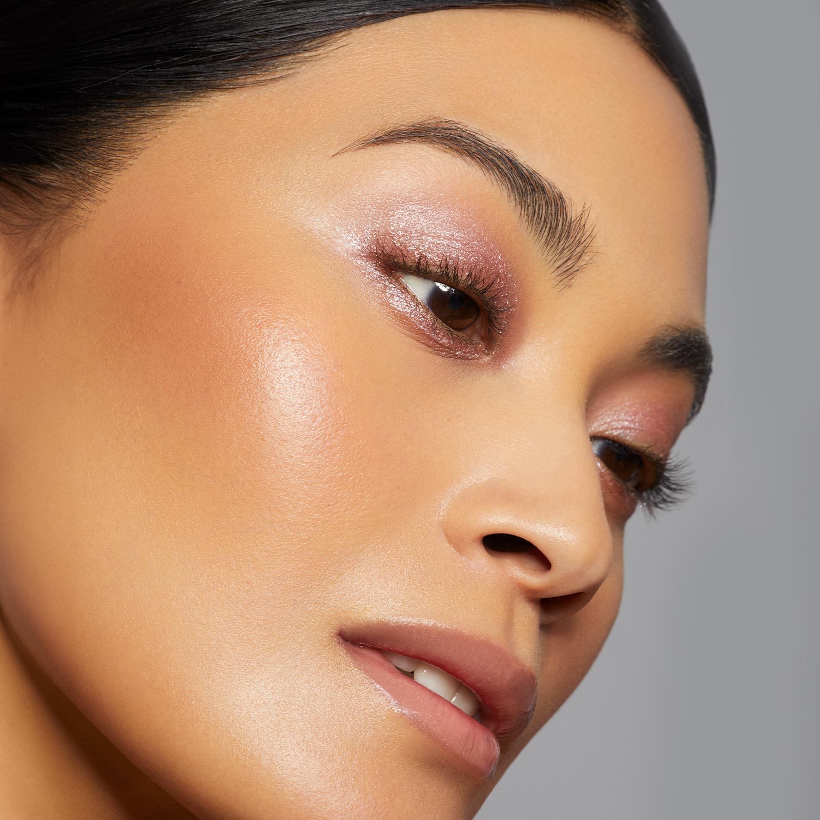 the ribbon palette model