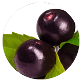 A&ccedil;ai