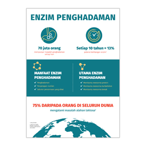 Infografik