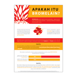 Infografik